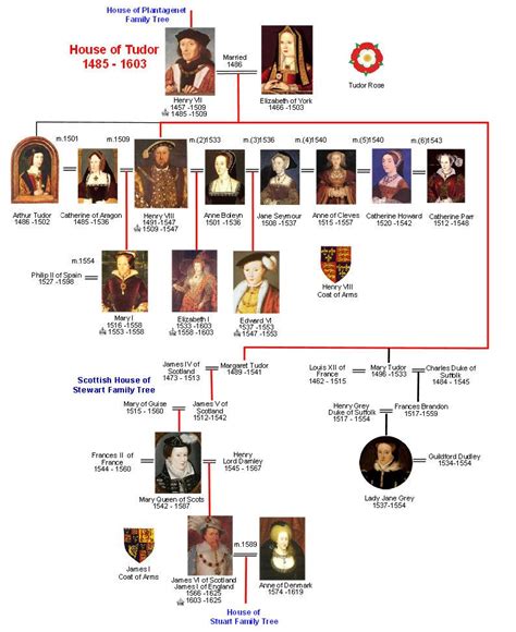 english tudor dynasty family tree|tudor descendants today.